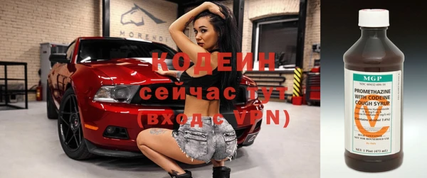 шишки Вуктыл
